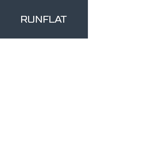 245/50R18 100W BRIDGESTONE TURANZA ER42